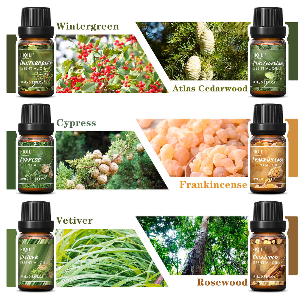 HIQILI Woodsy Essential Oil Set 6x10ml